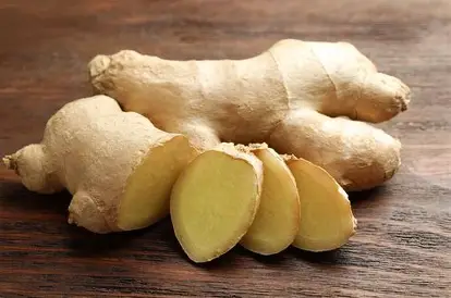 Fresh ginger root botanical ingredient